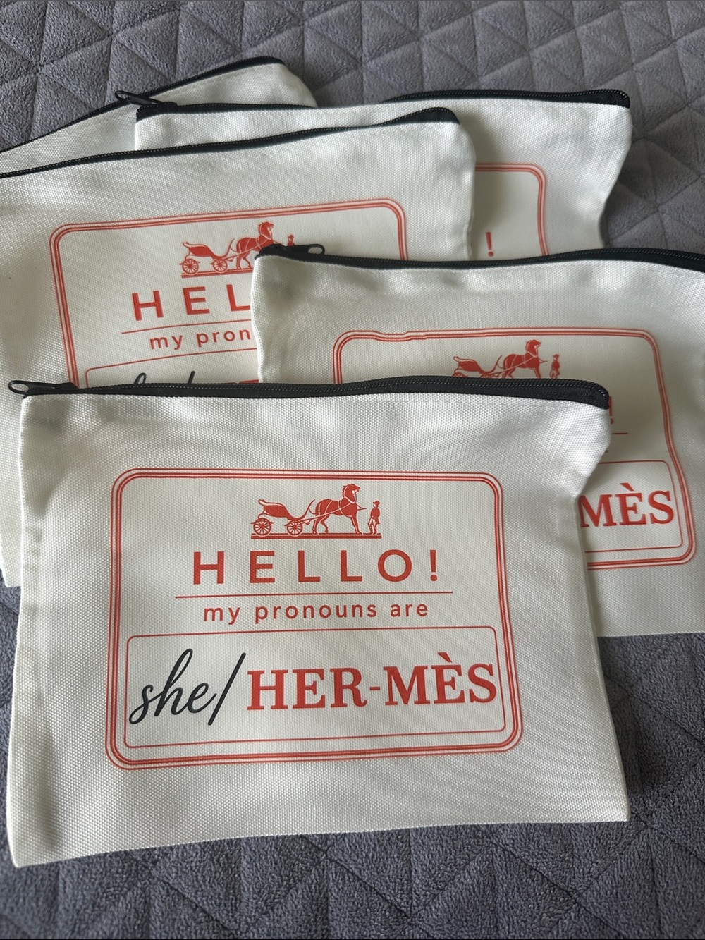 Canvas Pronouns Zip Pouch 😅